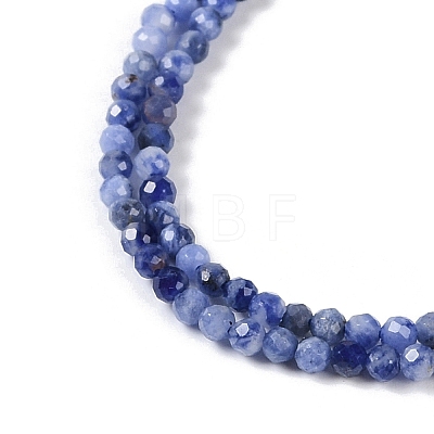 Natural Sodalite Beads Strands LS-G-G139-A07-02-1