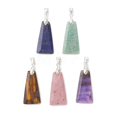 Natural Mixed Gemstone Pendants PALLOY-JF05426-02-1