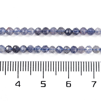 Natural Iolite Beads Strands X-G-N342-32-1