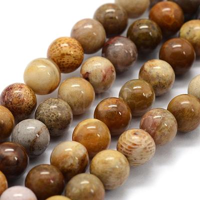 Natural Fossil Coral Beads Strands G-G763-12-8mm-1