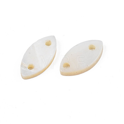 Natural Freshwater Shell Connector Charms SHEL-N026-186-1