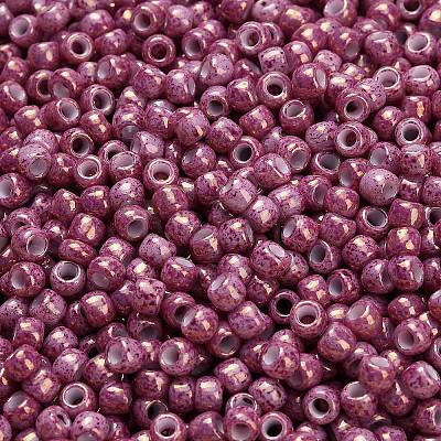 TOHO 6/0 Round Beads SEED-TR06-1202-1