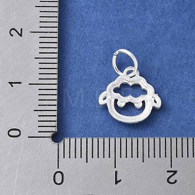 925 Sterling Silver Chinese Zodiac Outline Charms STER-P066-02S-08-1