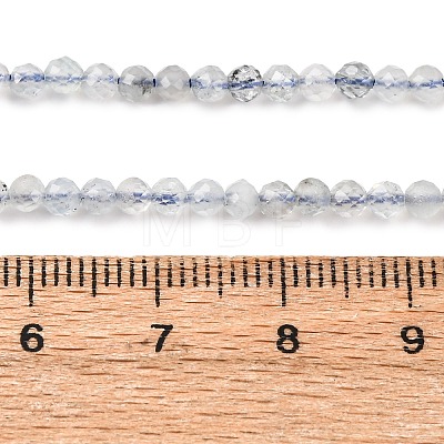 Natural Aquamarine Beads Strands G-F509-10-3mm-1