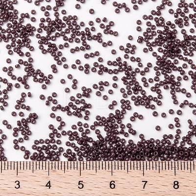 MIYUKI Round Rocailles Beads X-SEED-G009-RR0497-1