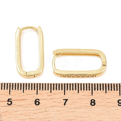 Rectangle Brass Cubic Zirconia Hoop Earrings EJEW-A156-16B-G-1