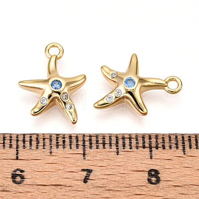 Brass Micro Pave Cubic Zirconia Charms KK-N261-99G-1
