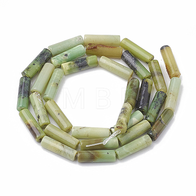Natural Serpentine Beads Strands X-G-S322-007-1