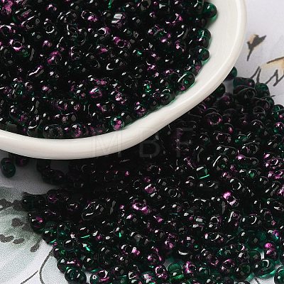 Spray Painted Glass Seed Beads SEED-F005-10A-03-1