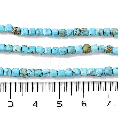Natural Howlite Beads Strands G-H025-04B-1