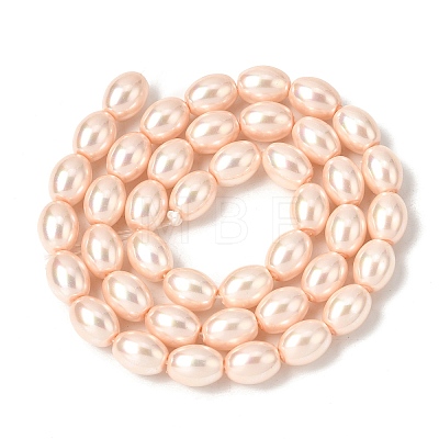 Electroplated Shell Pearl Beads Strands BSHE-B008-07B-1