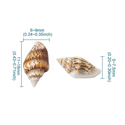 Fashewelry Spiral Shell Beads SSHEL-FW0001-01-1