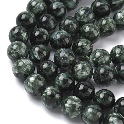 Natural Seraphinite Beads Strands G-C270-O01-11-1