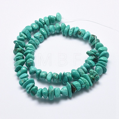 Natural Magnesite Beads Strands TURQ-F008-01-1
