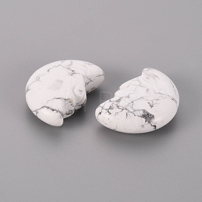 Natural Howlite Beads G-T132-028-1