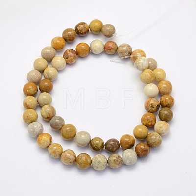 Natural Fossil Coral Beads Strands G-G697-F01-4mm-1