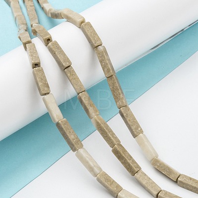 Natural Fossil Beads Strands G-G837-22-1