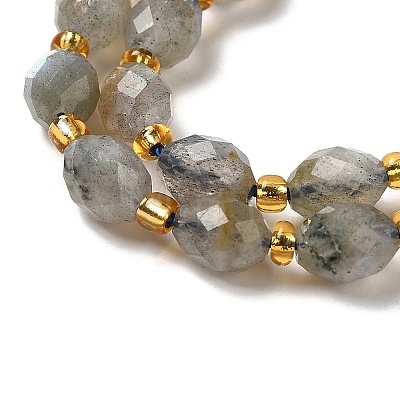 Natural Labradorite Beads Strands G-H295-C15-01-1