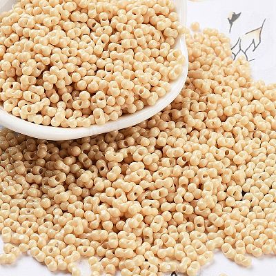 Baking Paint Glass Seed Beads X1-SEED-A033-05G-1