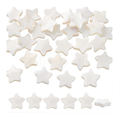60Pcs Natural Shell Beads Strands SHEL-PH0002-30-1