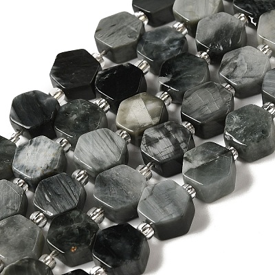 Natural Eagle Eye Stone Beads Strands G-P534-A14-01-1