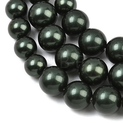 Electroplated Shell Pearl Graduated Beads Strands BSHE-C011-04-02-1