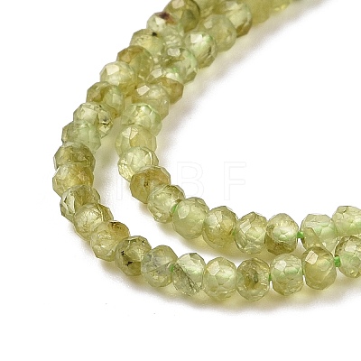 Natural Peridot Beads Strands G-E591-05-1