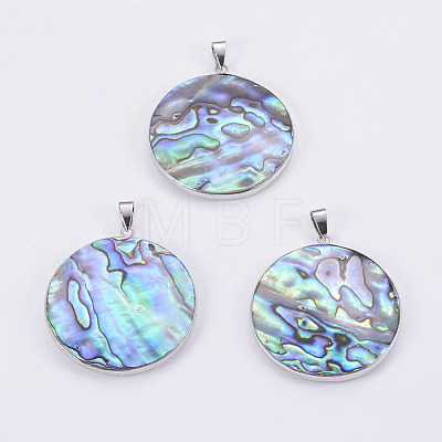 Abalone Shell/Paua Shell Pendants SSHEL-L008-23P-1