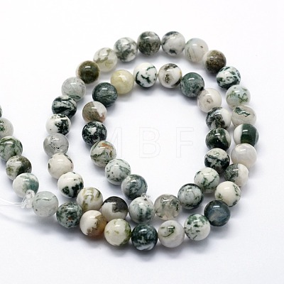 Natural Tree Agate Beads Strands G-I199-03-10mm-1