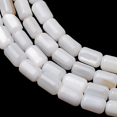 Natural Freshwater Shell Beads Strands SH-CBA2978-21A-1