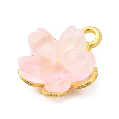 Alloy Glass Charms FIND-C079-05G-1