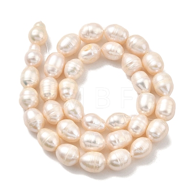 Natural Cultured Freshwater Pearl Beads Strands PEAR-I007-01F-04A-1