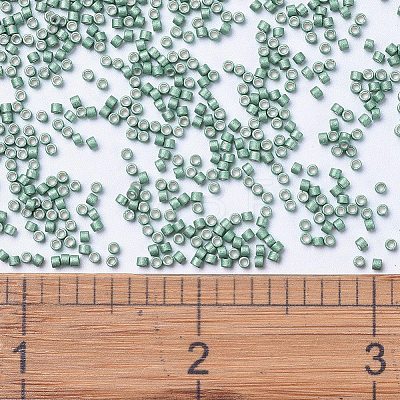 MIYUKI Delica Beads SEED-X0054-DB1171-1