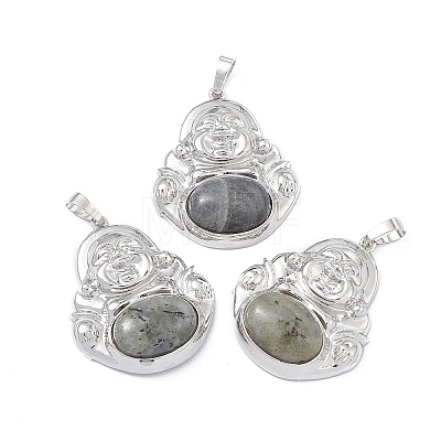 Natural Labradorite Pendants G-H283-01S-1