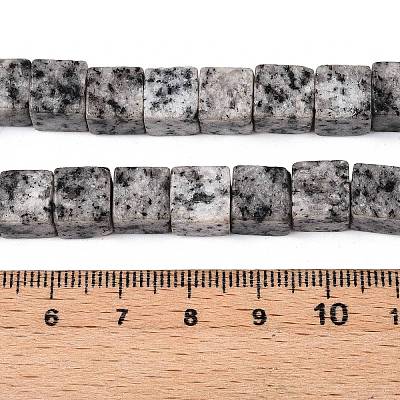 Natural Sesame Jasper/Kiwi Jasper Beads Strands G-T139-8x8-42B-1