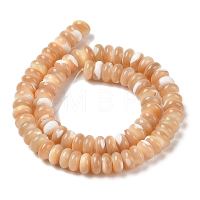 Natural Trochus Shell Beads Strands SHEL-P017-07-1