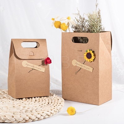   DIY Kraft Paper Bags Gift Shopping Bags CARB-PH0002-05-1
