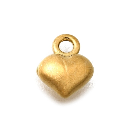 304 Stainless Steel Charms STAS-D310-06G-03-1