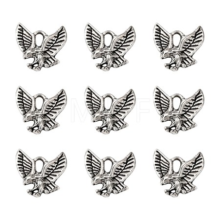 Tibetan Style Alloy Pendants TIBEP-20305-AS-NR-1