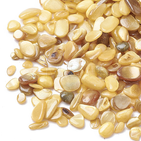 Shell Beads SHEL-R020-02-1