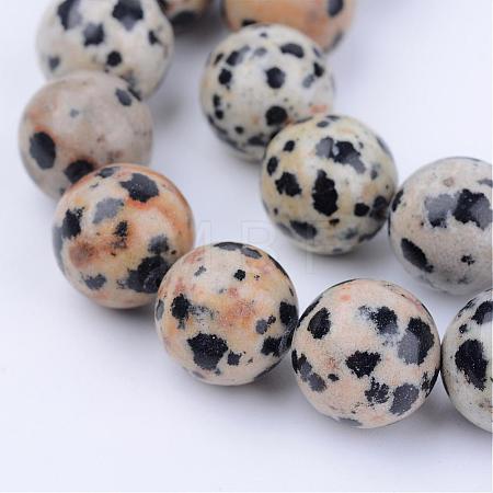 Natural Dalmatian Jasper Beads Strands G-Q462-6mm-30-1