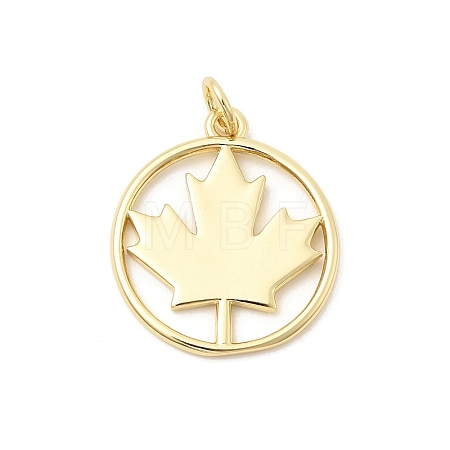 Brass Pendants KK-Z147-13G-1