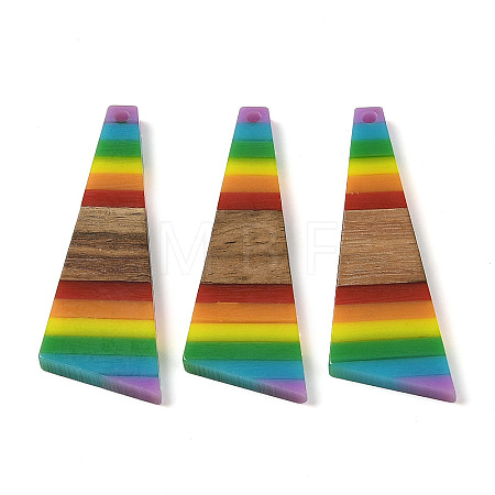 Pride Rainbow Theme Resin & Walnut Wood Pendants WOOD-K012-08A-1