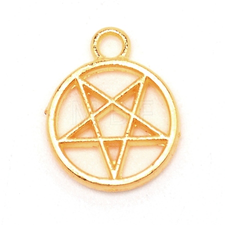 Zinc Alloy Pendants PALLOY-WH0088-60A-G-1