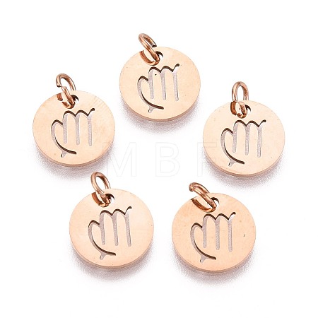 304 Stainless Steel Charms STAS-Q201-T445-6R-1