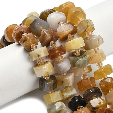 Natural Botswana Agate Beads Strands G-L642-H11-01-1