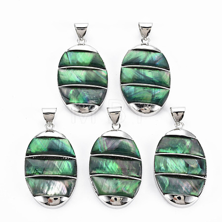 Natural Abalone Shell/Paua Shell Big Pendants SHEL-N333-009A-B01-1