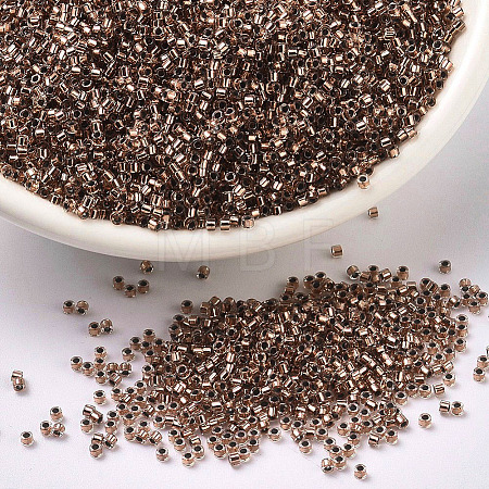 MIYUKI Delica Beads X-SEED-J020-DB0037-1