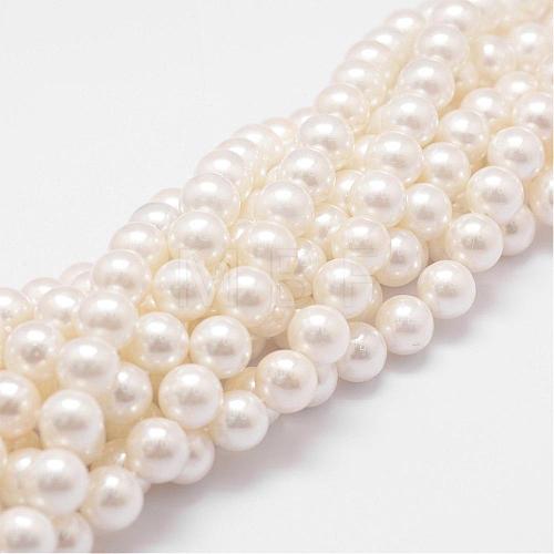 Rainbow Plated Shell Pearl Bead Strands BSHE-L025-02-8mm-1