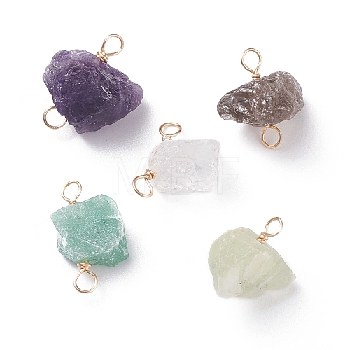 Natural Gemstone Connector Charms PALLOY-JF01390-01-1